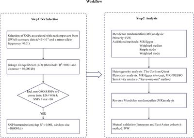 Treg cells as a protective factor for Hashimoto`s thyroiditis: a Mendelian randomization study